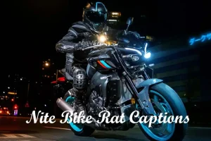 Nite Bike Rat Captions For Instagram