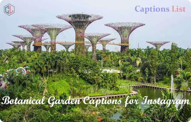 Botanical Garden Captions for Instagram