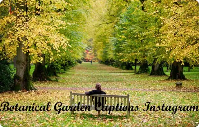 Botanical Garden Captions Instagram