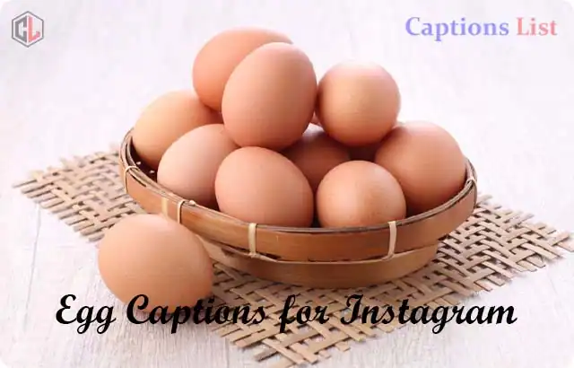 Egg Captions for Instagram