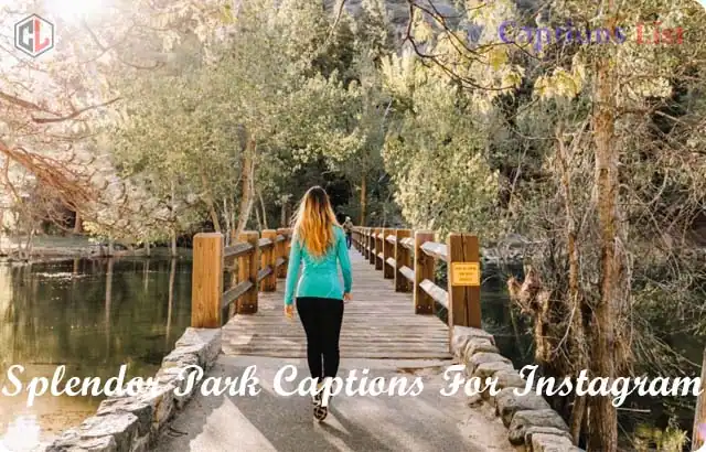 Splendor Park Captions For Instagram