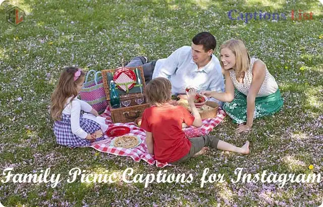 Family Picnic Captions for Instagram