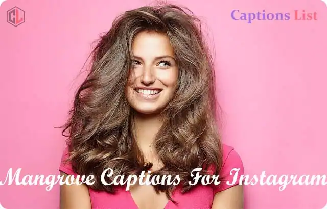 Hairstyle Captions For Instagram