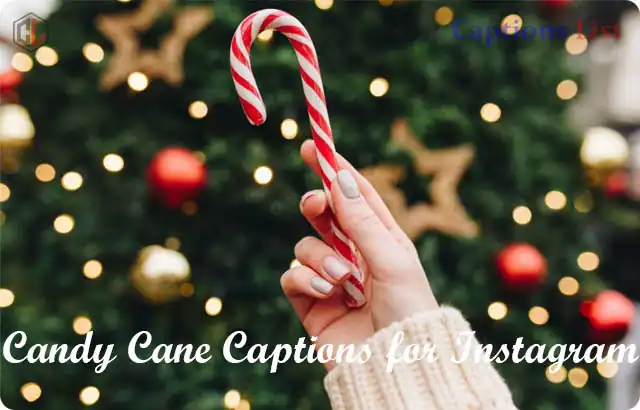 Candy Cane Captions for Instagram