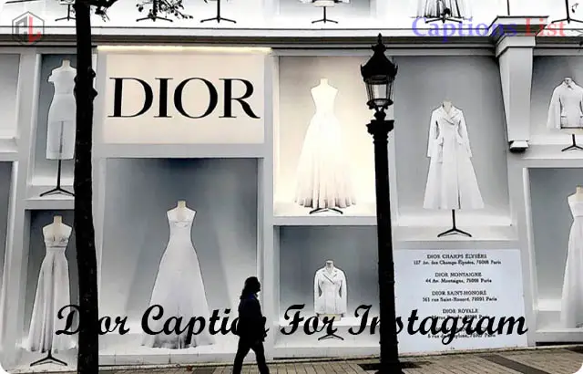 Dior Caption For Instagram