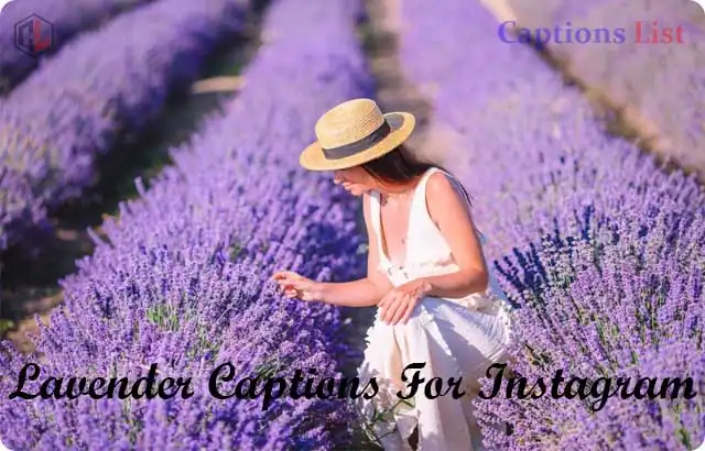 Lavender Captions For Instagram
