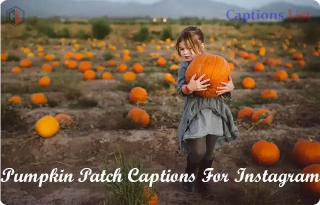 Pumpkin Patch Captions For Instagram