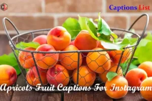 Apricots Fruit Captions For Instagram