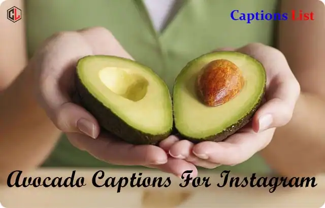 Avocado Captions For Instagram