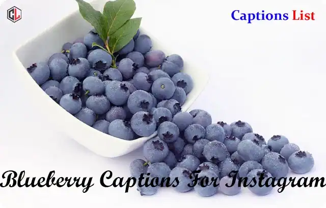 Blueberry Captions For Instagram