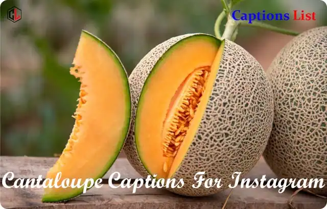 Cantaloupe Captions For Instagram