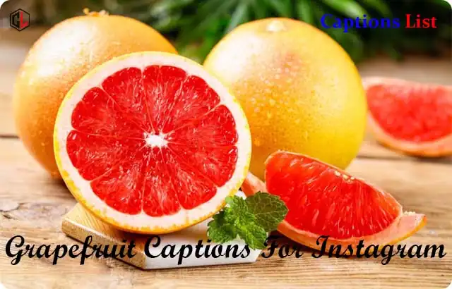 Grapefruit Captions For Instagram