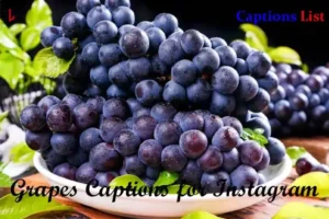 Grapes Captions for Instagram