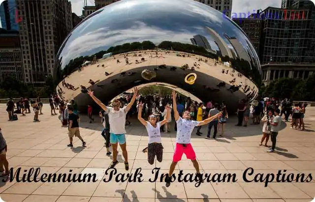 Millennium Park Instagram Captions