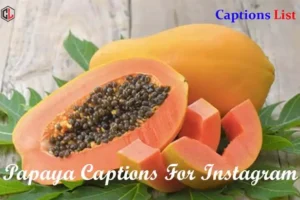 Papaya Captions For Instagram