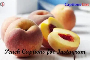 Peach Captions for Instagram