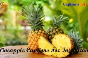 Pineapple Captions For Instagram