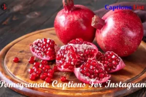 Pomegranate Captions For Instagram