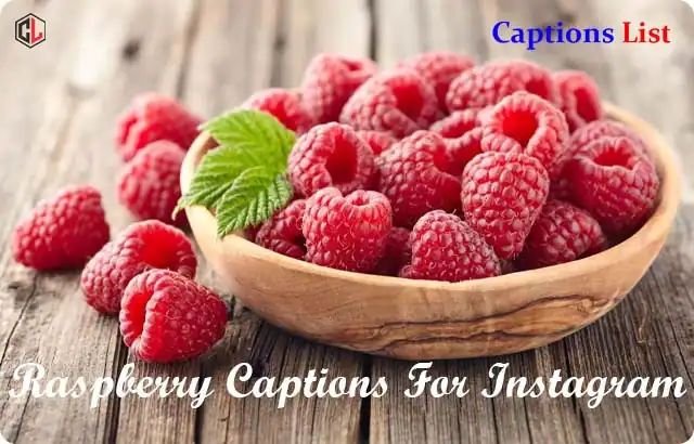 Raspberry Captions For Instagram