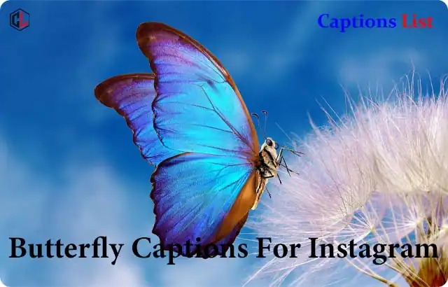 Butterfly Captions For Instagram