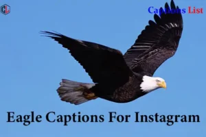 Eagle Captions For Instagram