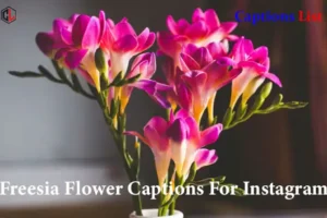 Freesia Flower Captions For Instagram