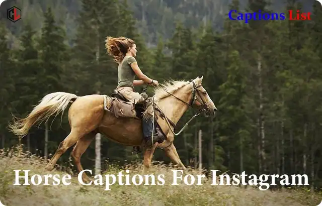 Horse Captions For Instagram