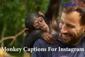Monkey Captions For Instagram