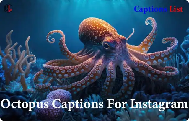 Octopus Captions For Instagram