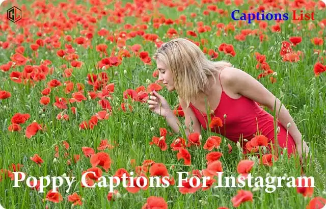 Poppy Captions For Instagram