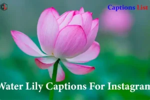 Water Lily Captions For Instagram