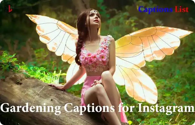 Fairy Captions for Instagram