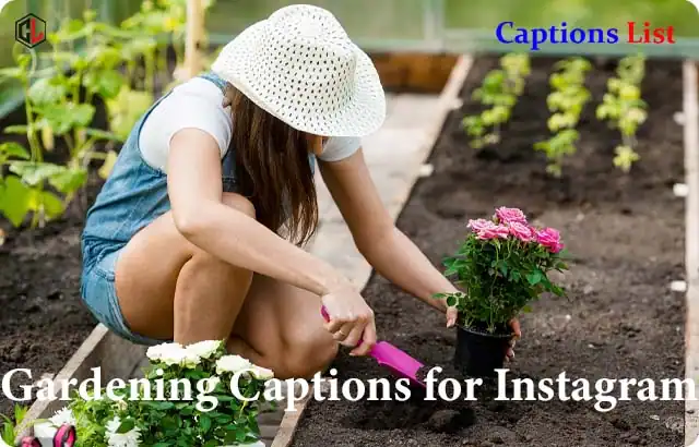 Gardening Captions for Instagram