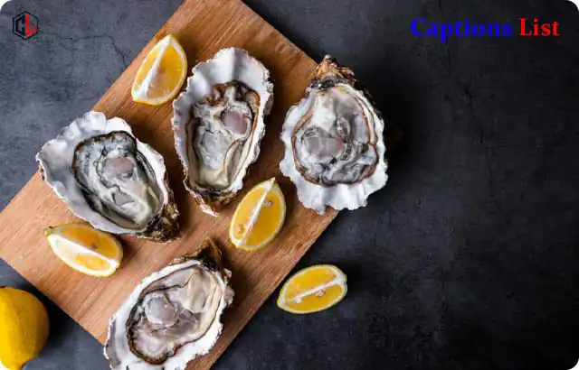 Oyster Captions for Instagram