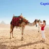 Camel Captions for Instagram