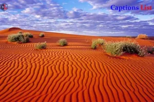 Desert Captions for Instagram