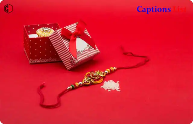 Raksha Bandhan Captions for Instagram